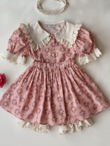 Haro Pink Floral Blouse & Skort Set