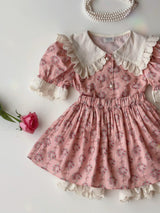 Haro Pink Floral Blouse & Skort Set