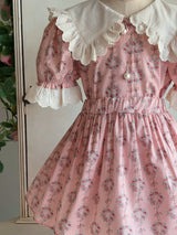 Haro Pink Floral Blouse & Skort Set