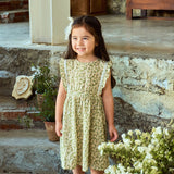 Daisy Garden Dress