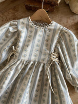 Bluebell Vintage Dress