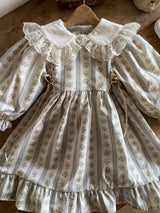 Bluebell Vintage Dress