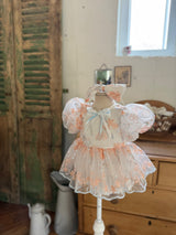Sarah Dress_ Orange