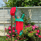 Strawberry Swimsuit Set