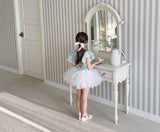 Gabriel Ballet Tutu_Blue
