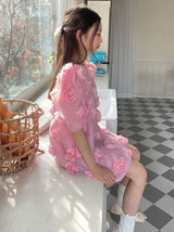 Rose Bloom Dress_ Pink