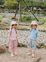 Havel Pants _Blue