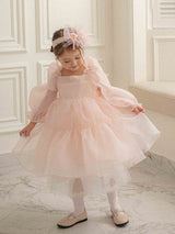 Rose Cloud Organza Dress