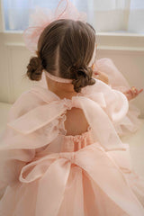 Rose Cloud Organza Dress