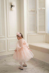 Rose Cloud Organza Dress