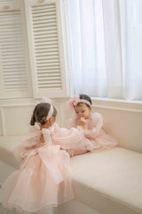 Rose Cloud Organza Dress