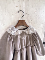 Rosley Velour Dress _ 2 Colours