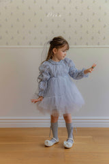 Velorin Shimmer Tulle Dress _Blue