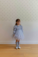 Velorin Shimmer Tulle Dress _Blue