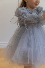 Velorin Shimmer Tulle Dress _Blue