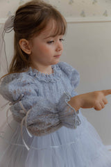 Velorin Shimmer Tulle Dress _Blue