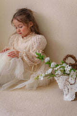 Velorin Shimmer Tulle Dress _Cream