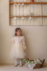 Velorin Shimmer Tulle Dress _Cream