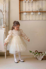 Velorin Shimmer Tulle Dress _Cream