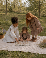 Olivia Embroidered Dress_Brown