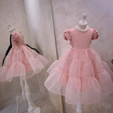 Sherbet Dress _Pink