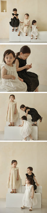 Embroidered Pin tuck Dress_3 Colours