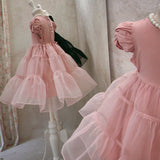 Sherbet Dress _Pink