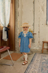 Jardin Blue Dress