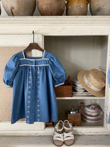 Jardin Blue Dress