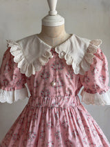 Haro Pink Floral Blouse & Skort Set