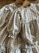 Bluebell Vintage Dress