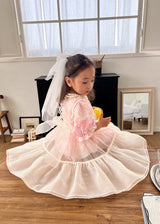 Audrey Organza Layering Dress