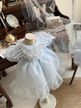 Elodie Dress _Skyblue