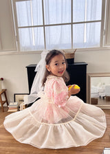 Audrey Organza Layering Dress