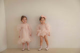 Beluca Organza Dress _Pink