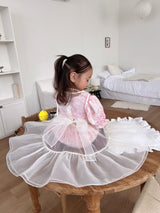 Audrey Organza Layering Dress