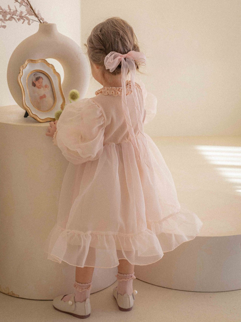 Beluca Organza Dress _Pink