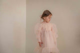 Beluca Organza Dress _Pink