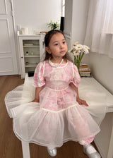 Audrey Organza Layering Dress