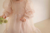 Beluca Organza Dress _Pink