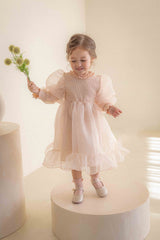 Beluca Organza Dress _Pink