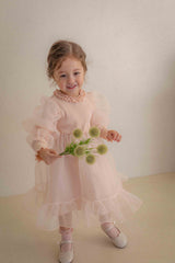 Beluca Organza Dress _Pink