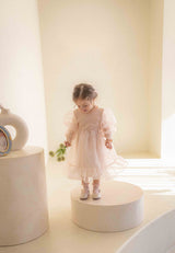 Beluca Organza Dress _Pink