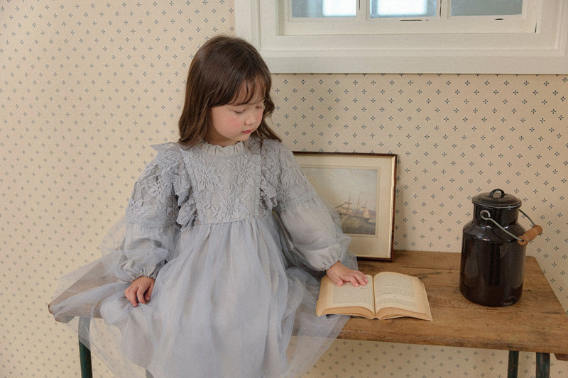 Jella Dress_ Grey