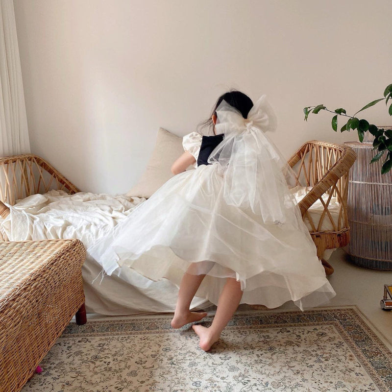 Mademoiselle Adult Dress