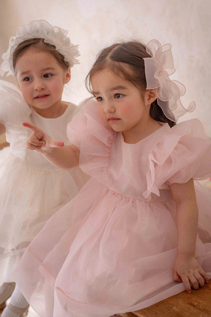 Ines Organza Dress_ Pink