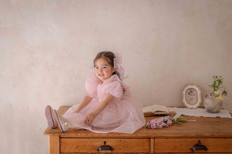 Ines Organza Dress_ Pink