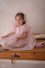 Ines Organza Dress_ Pink