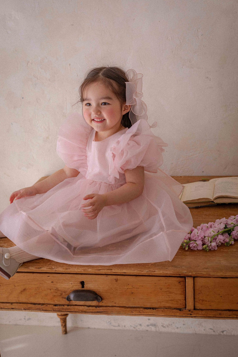 Ines Organza Dress_ Pink