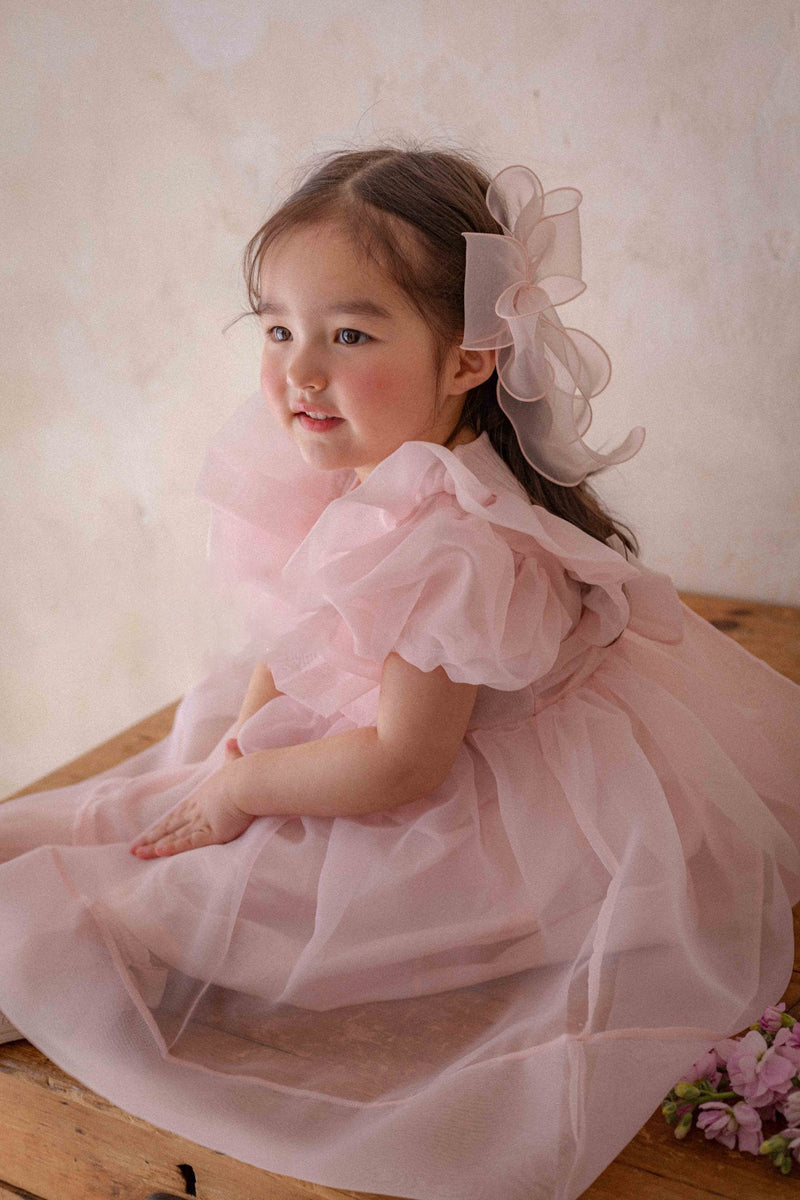 Ines Organza Dress_ Pink